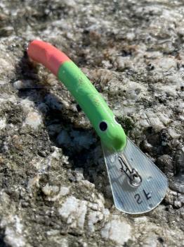 フィッシング サンクチュアリ 釣果