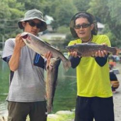 フィッシング サンクチュアリ 釣果