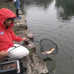 フィッシング サンクチュアリ 釣果