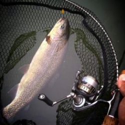 フィッシング サンクチュアリ 釣果