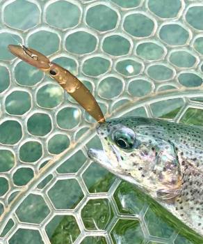 フィッシング サンクチュアリ 釣果