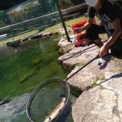 フィッシング サンクチュアリ 釣果