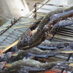 平谷湖フィッシングスポット 釣果