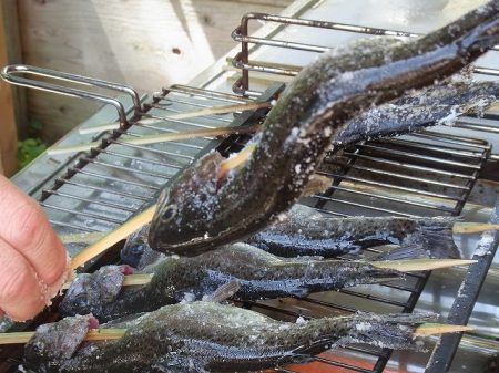 平谷湖フィッシングスポット 釣果