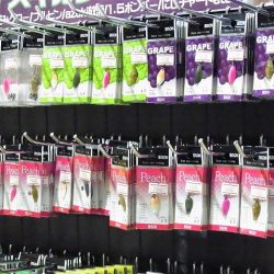 平谷湖フィッシングスポット 釣果