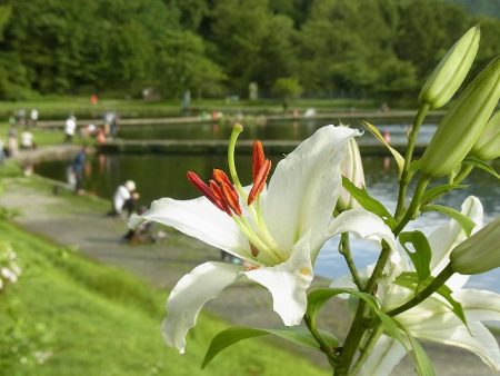 平谷湖フィッシングスポット 釣果