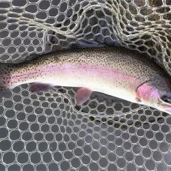 平谷湖フィッシングスポット 釣果