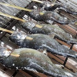 平谷湖フィッシングスポット 釣果