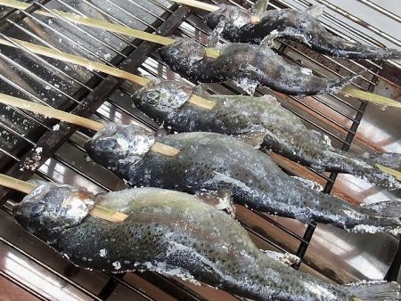 平谷湖フィッシングスポット 釣果