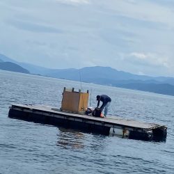 あみや渡船 釣果