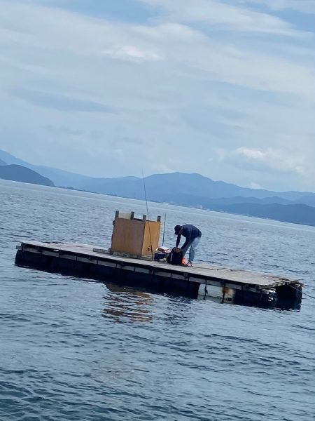 あみや渡船 釣果