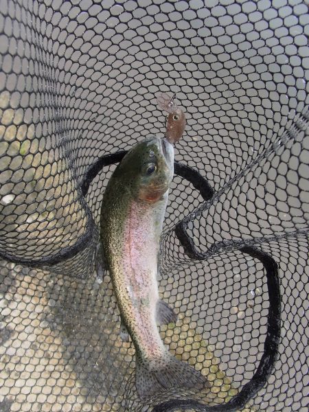 平谷湖フィッシングスポット 釣果