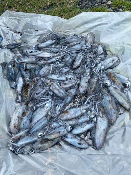 あみや渡船 釣果