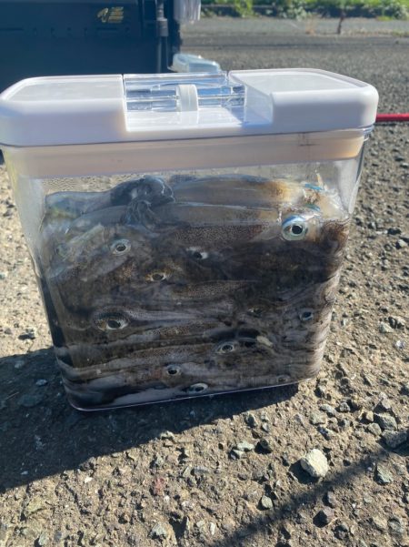 あみや渡船 釣果