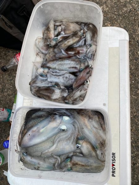 あみや渡船 釣果