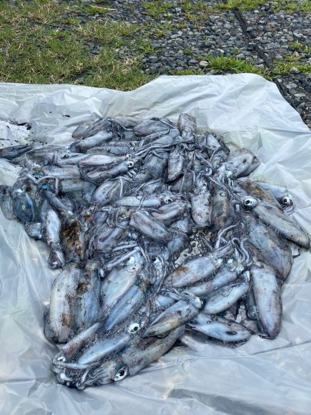 あみや渡船 釣果