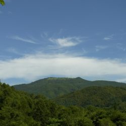 平谷湖フィッシングスポット 釣果