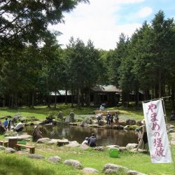 平谷湖フィッシングスポット 釣果