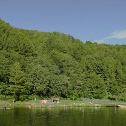 平谷湖フィッシングスポット 釣果