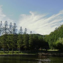 平谷湖フィッシングスポット 釣果