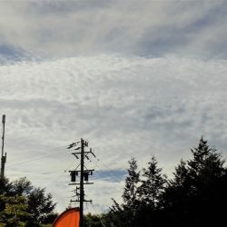 平谷湖フィッシングスポット 釣果