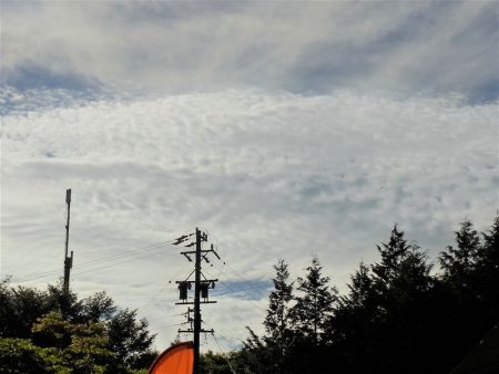 平谷湖フィッシングスポット 釣果