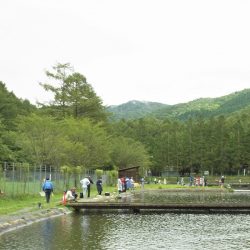 平谷湖フィッシングスポット 釣果