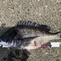 イチノ兄弟、釣果！