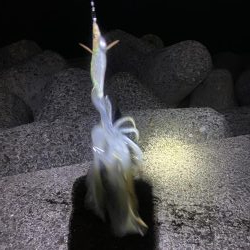 エギングランガン！