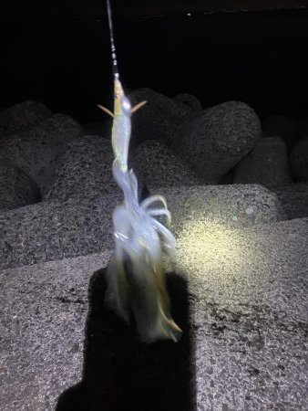 エギングランガン！