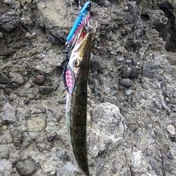 タイドグラフ通りの釣果