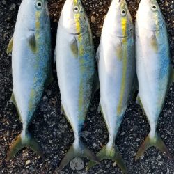 仕事前の食料調達