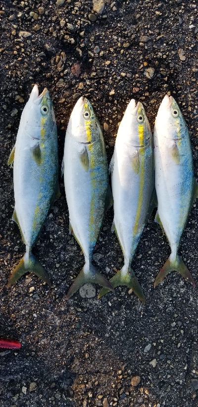 仕事前の食料調達
