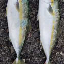 場所を変えるとサイズアップ