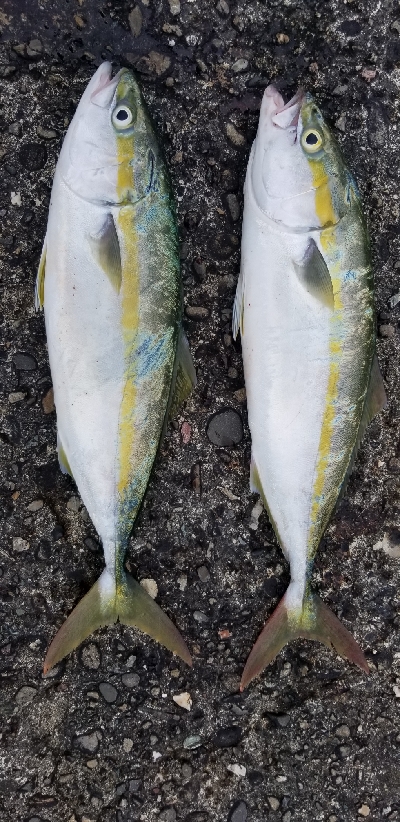 場所を変えるとサイズアップ