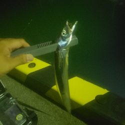 渋すぎる。。。