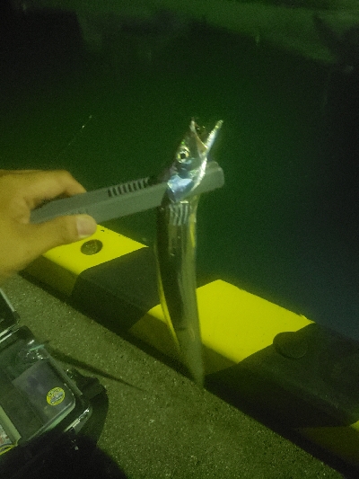 渋すぎる。。。