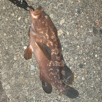 足元でくってきました