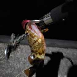 天気良く遠征！