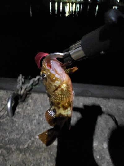 天気良く遠征！