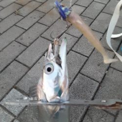 平日にも関わらず混みすぎ