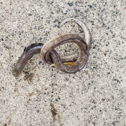 全然反応がない、。