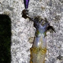 ウネリを避けて漁港内の奥へ