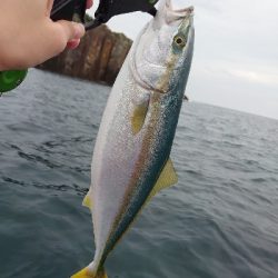 レンタル手漕ぎボート