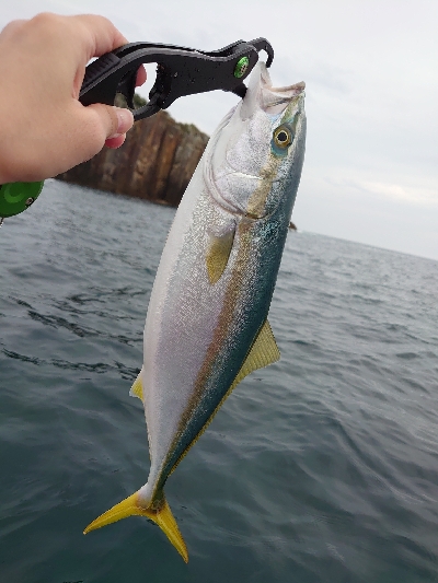 レンタル手漕ぎボート