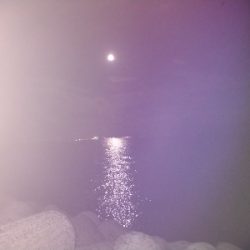 バースデーメジロ!