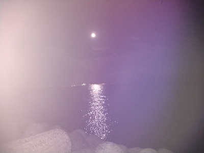 バースデーメジロ!