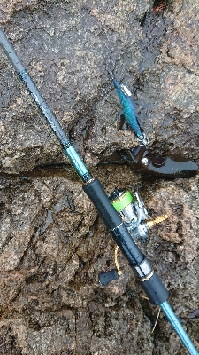 久しぶりの坂田渡船(沖磯)