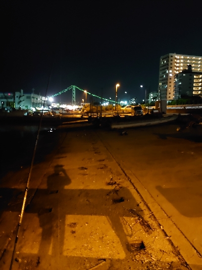 エギング短時間釣行