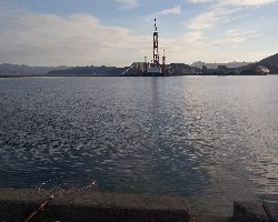 タチウオ夜釣り